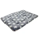Ollipet Wellness Madras